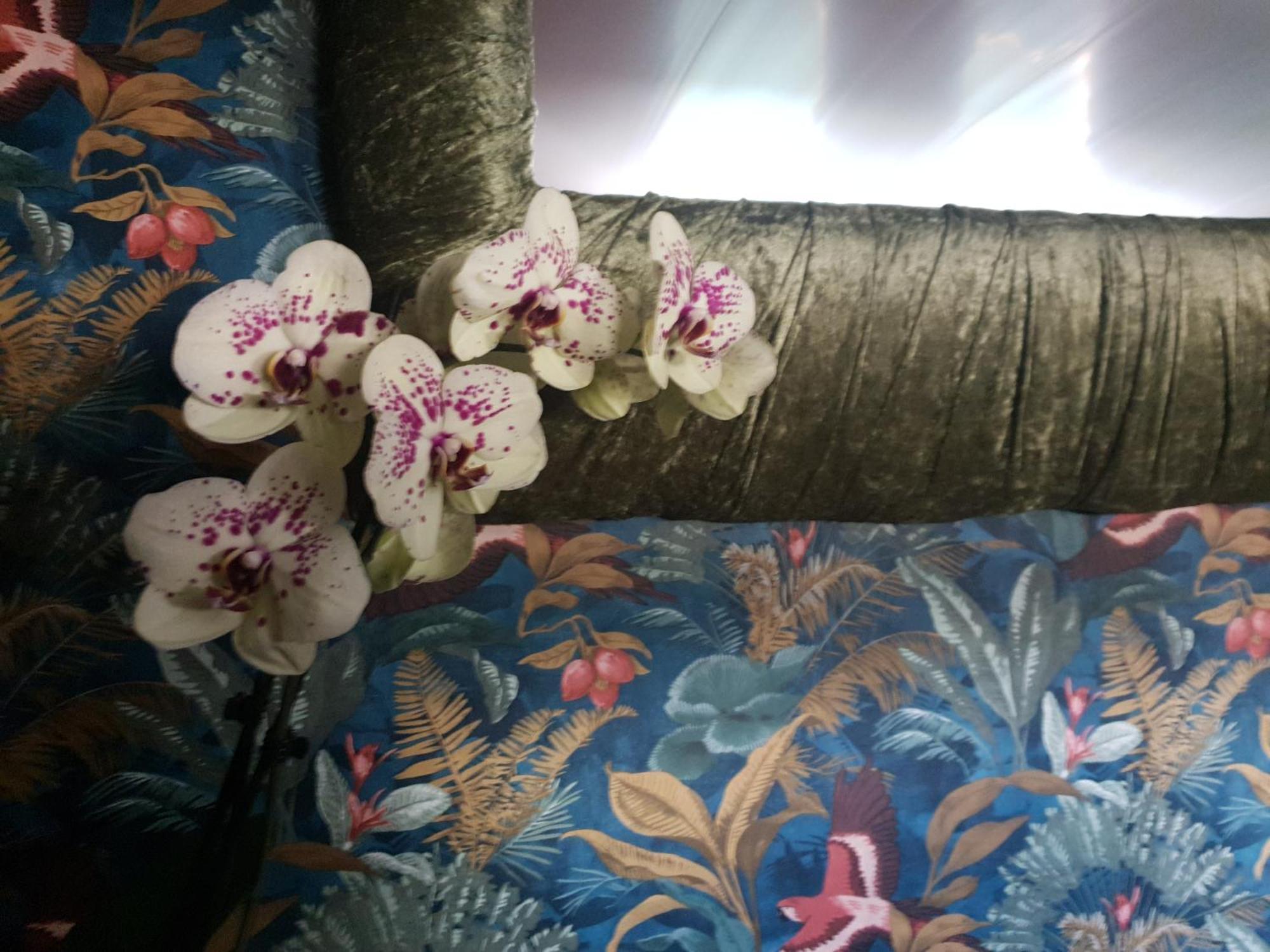 Jasmine Coral Jay Boutique Boatel Ocean Village 지브롤터 객실 사진